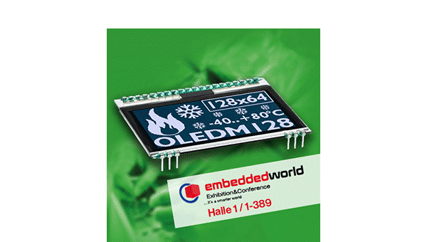 Weltweit erste OLED-Anzeige mit Pins