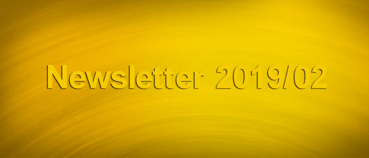 Weltweit erste OLED-Anzeige mit Pins